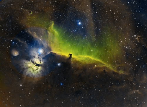 Horsehead by Rick