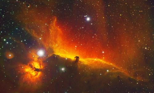 Horsehead Nebula by Sara