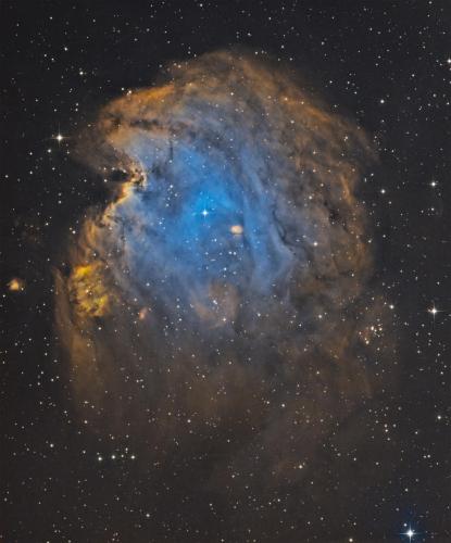 Monkey Head Nebula by Rick