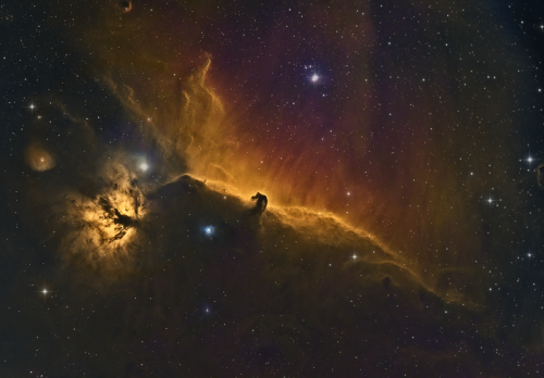 Horsehead by Rick