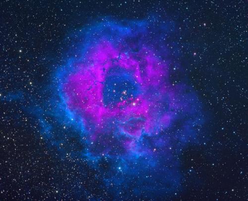 Rosette Nebula by Sara