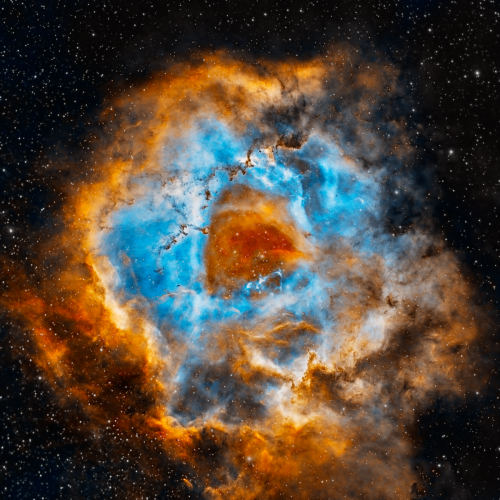 Rosette Nebula by Rick