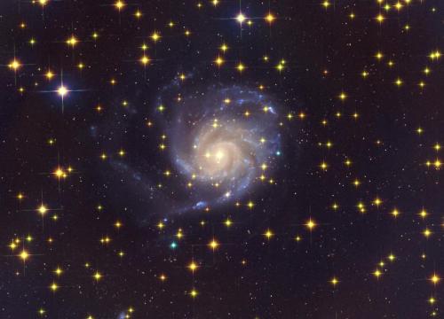 M101 by Sara