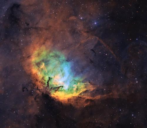 Tulip Nebula by Rick