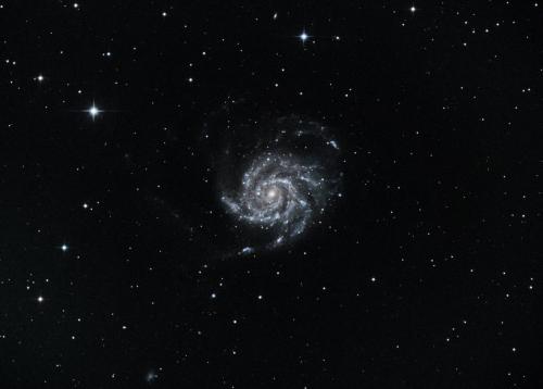 Pinwheel Galaxy by Sara